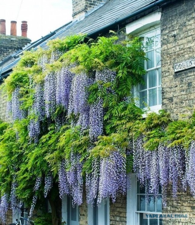 Почему хороших девочек не зовут замуж?