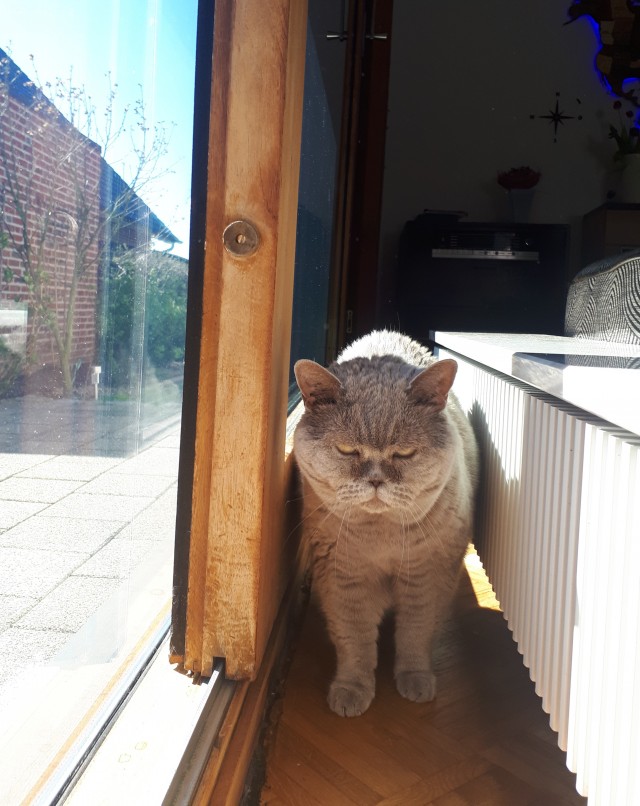 Котофеев пост
