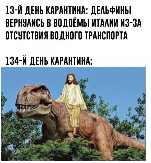 Не очень адекватный юмор