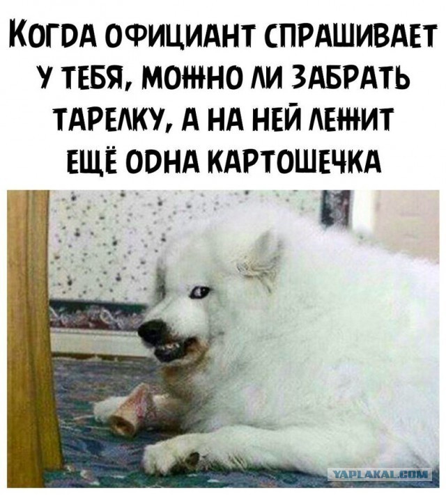 Бредзона 08.09.2020