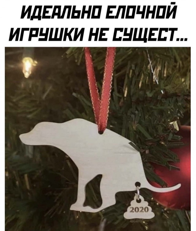 Бредзона 15.12.20