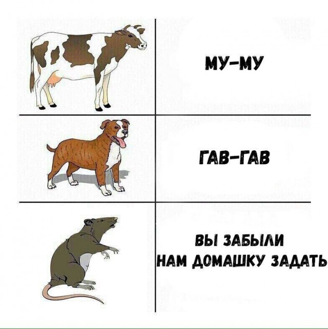 Дебилизмы из сети 8.02.21