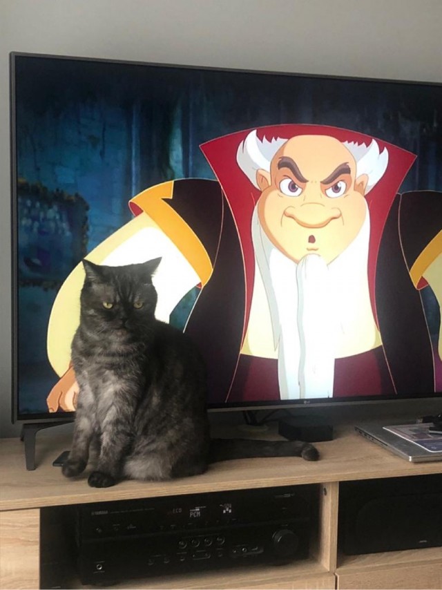 Калейдоскоп картинок