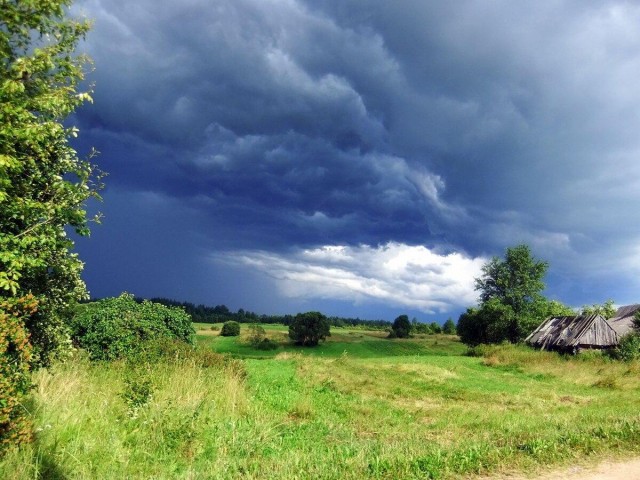 Перед грозой в деревне