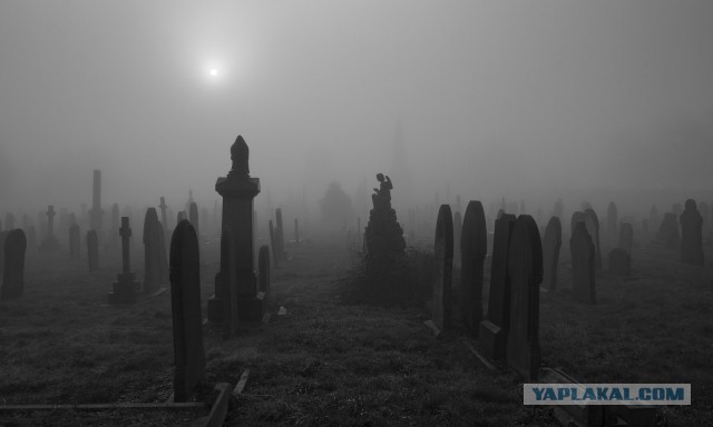 Где сейчас ваши друзья детства?