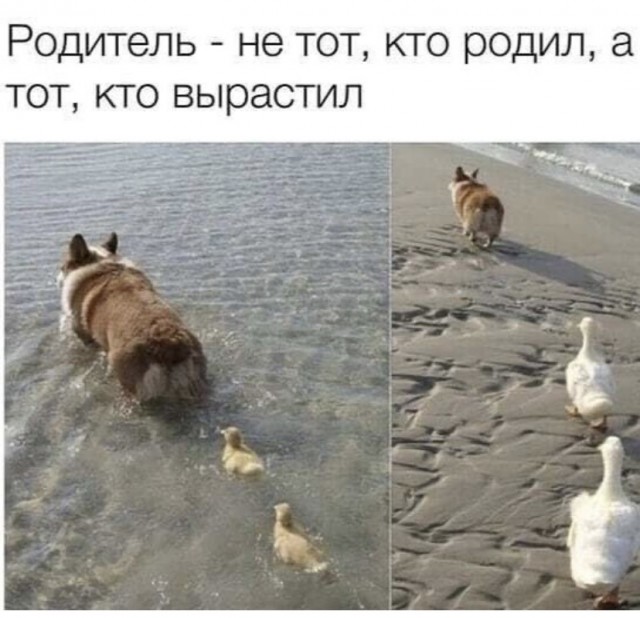 Картинки и мемы для настроения 27.07.2021