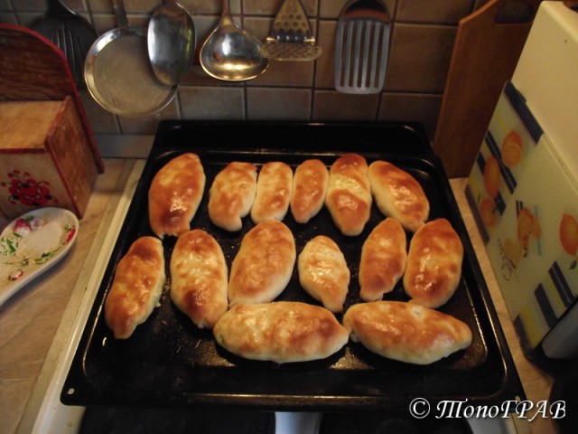 Пятничные посиделки на теплотрассе ©