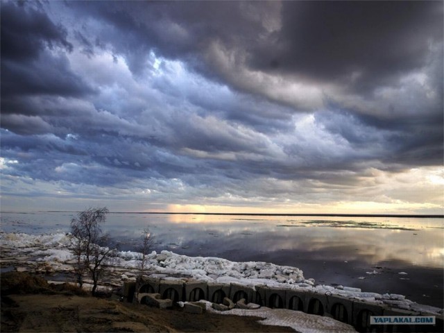 Просто природа, северная