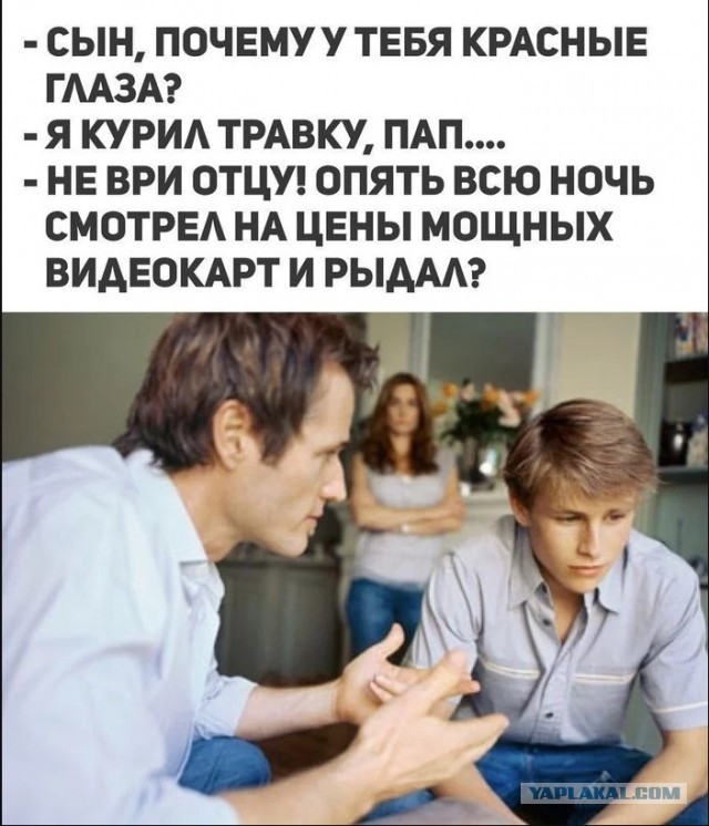 Геймеры объявили войну магазину DNS и перекупам