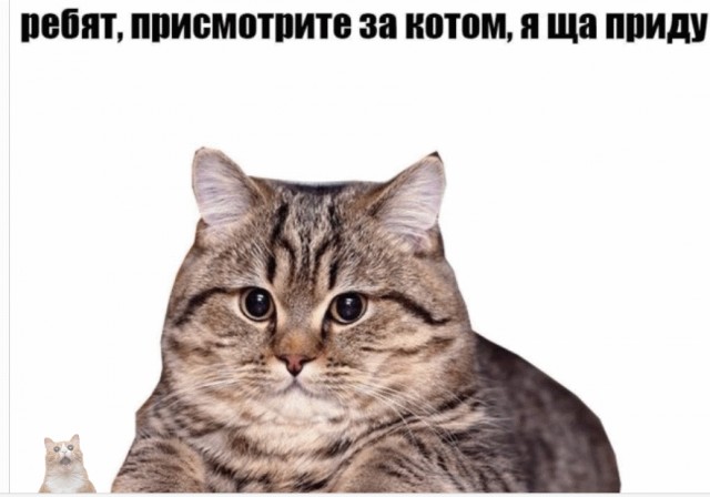 Ребята...