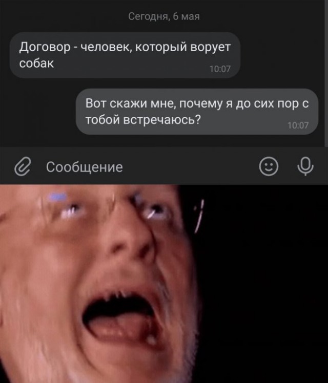 Картинки и мемы, выходные продолжаются