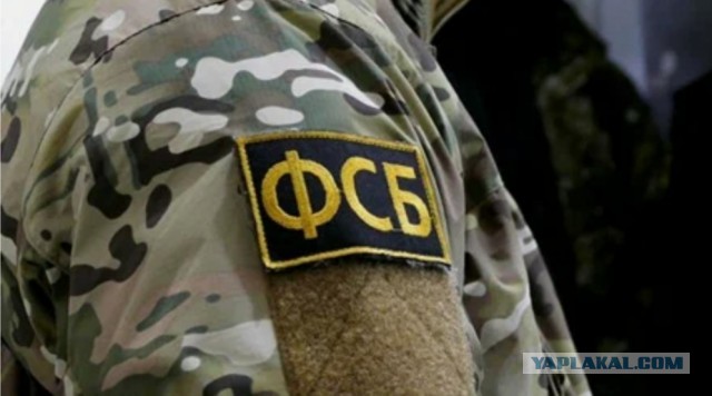 В Волгоградской области задержали экстремистов, готовивших захват власти