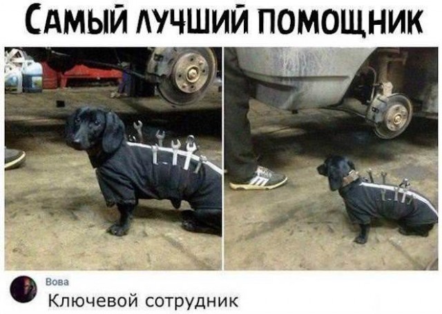 Картинки и мемы для настроения - 23