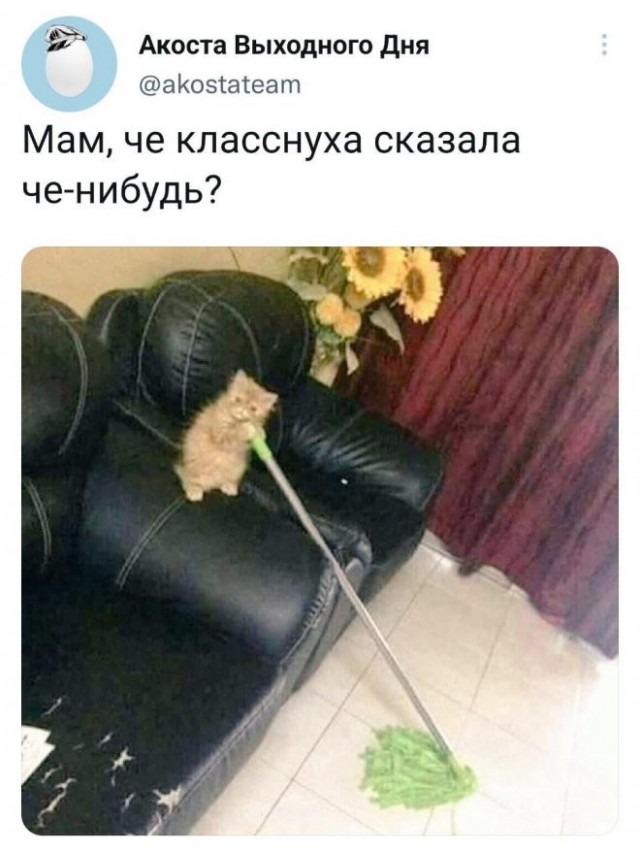 Скриншоты и комментарии из социальных сетей 04.09.22