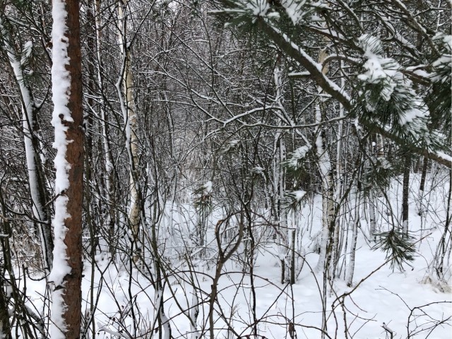 Что делать с находкой?