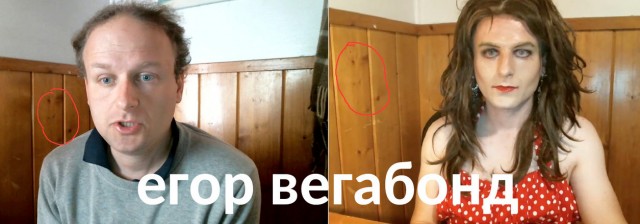 Человейник лучше дома