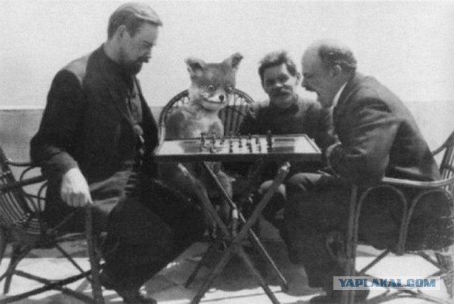 Защищаю Ильича!