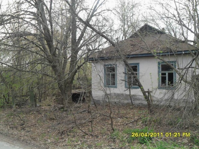 Чернобыль 2011