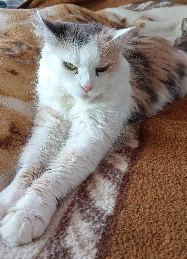 Милота дня, не иначе