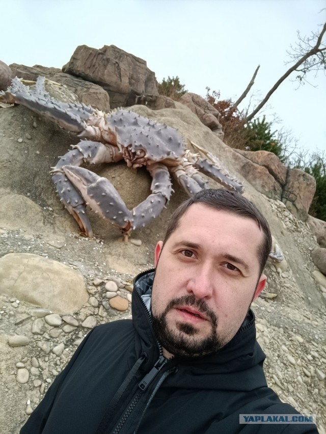 Гигантский краб в Приморье