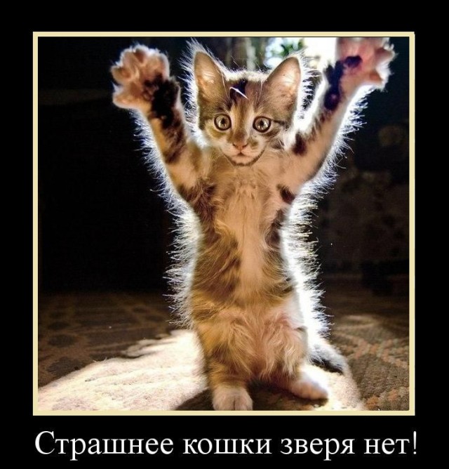 Легко отделалась