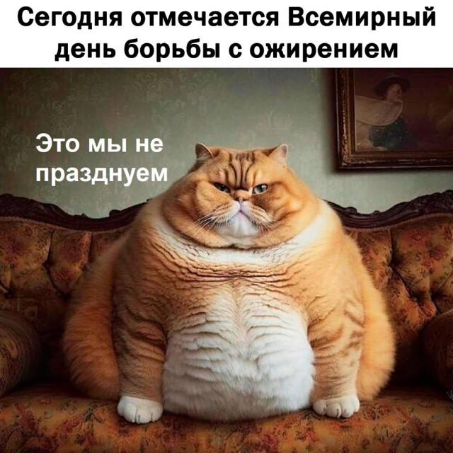 Весёлый полтишок 04.03.24