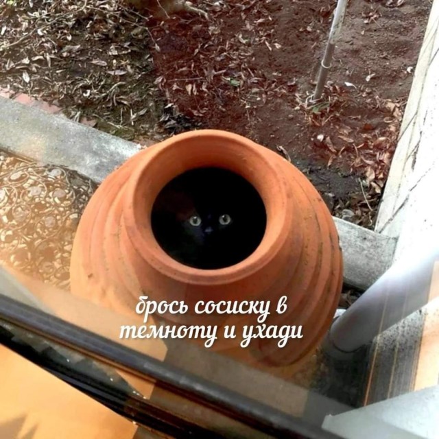 Дориме