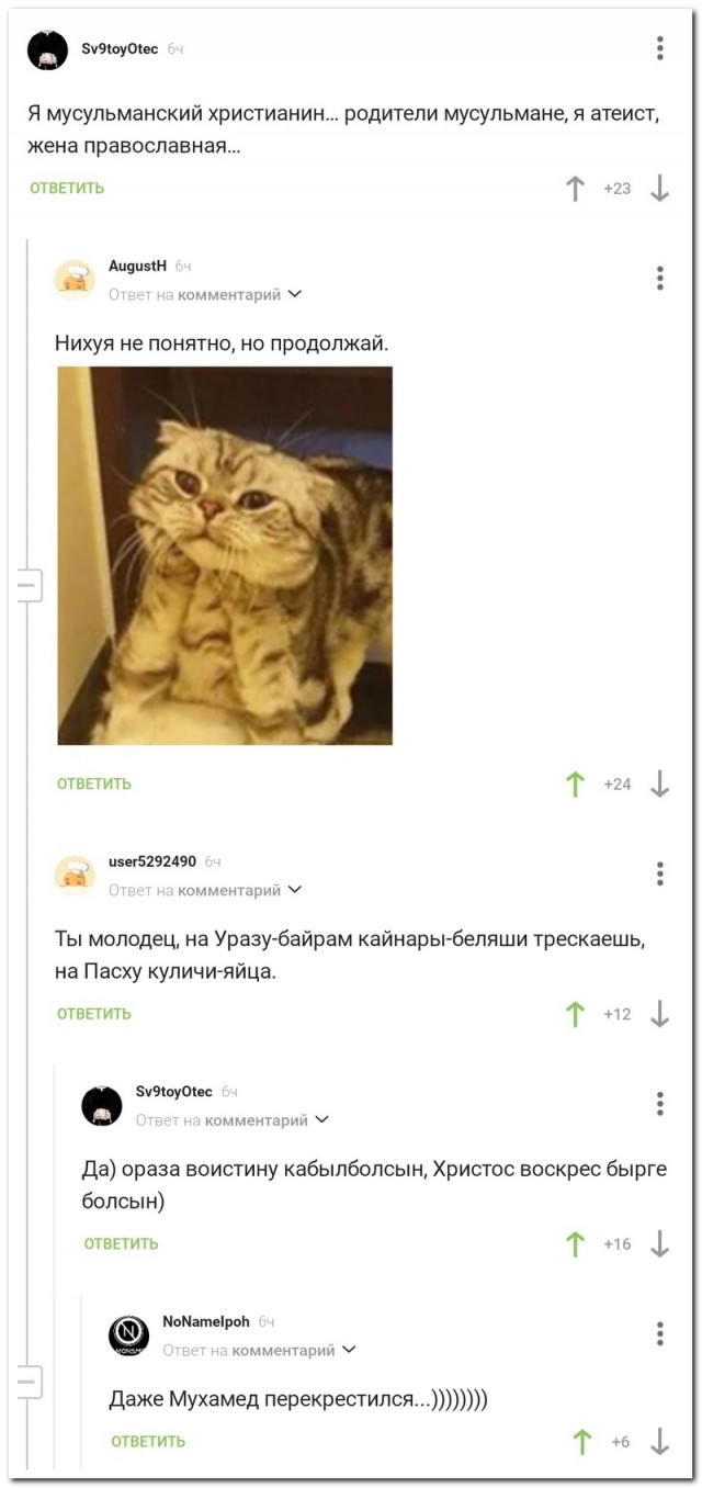 Забавные комментарии из социальных сетей (13.05.24)