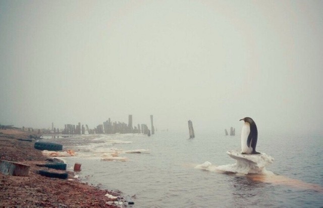 Немного забавных картинок