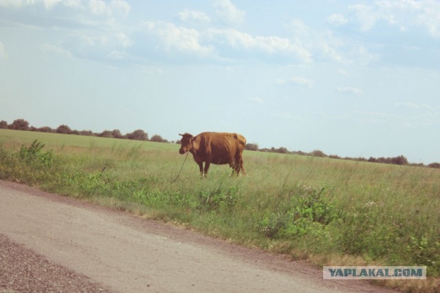 В дали от городской суеты