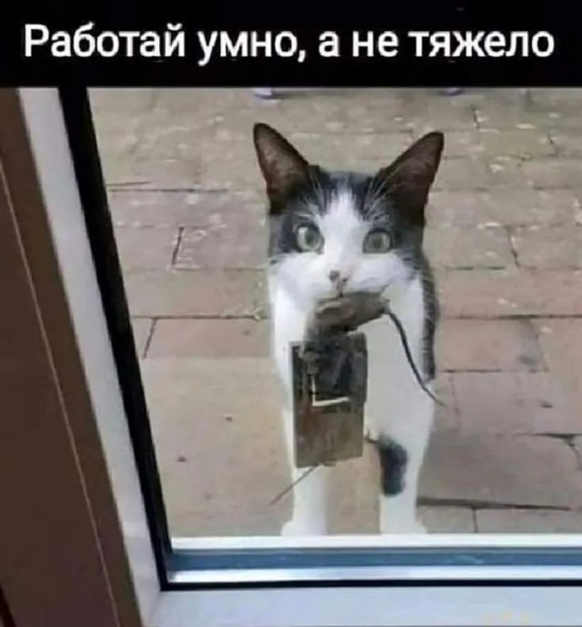 Посмеялся сам - поделись с другом!!!