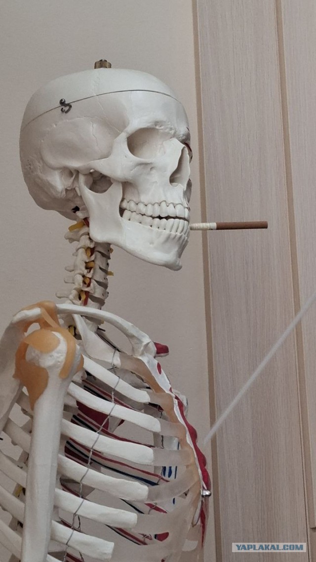 Вот так нас и учат в колледже...