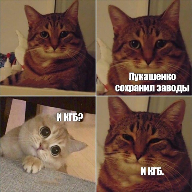 Как же нелегко быть диктатором...⁠⁠