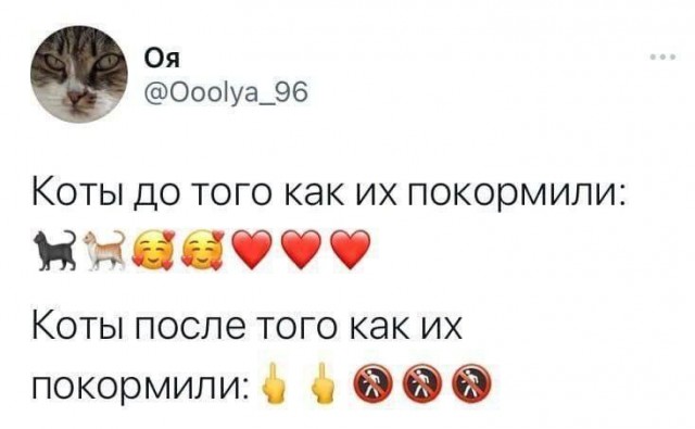 "Думали я шутки шутить буду?!" (с)