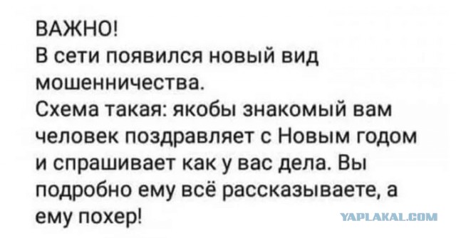 Не служил – не поздравляйте!
