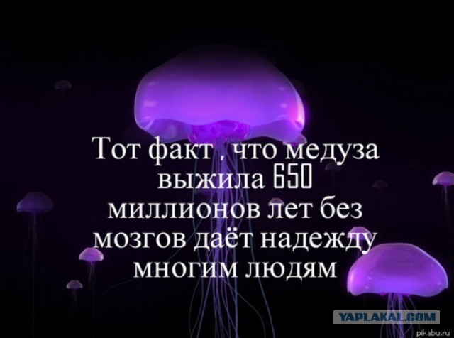 Дневник бабушки из Мартыновки