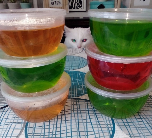 Эти глаза напротив...