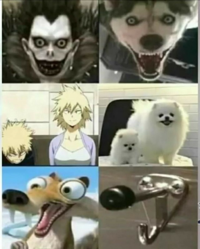 Веселое настроение в картинках (11.08.2025)