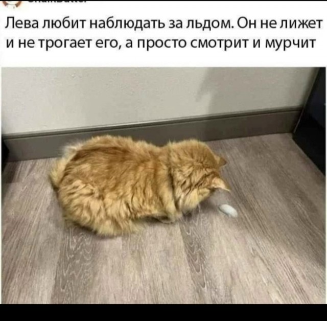 Четверг . Картинки для бодрого утра