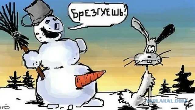Морковки кто-то выигрывал чего?