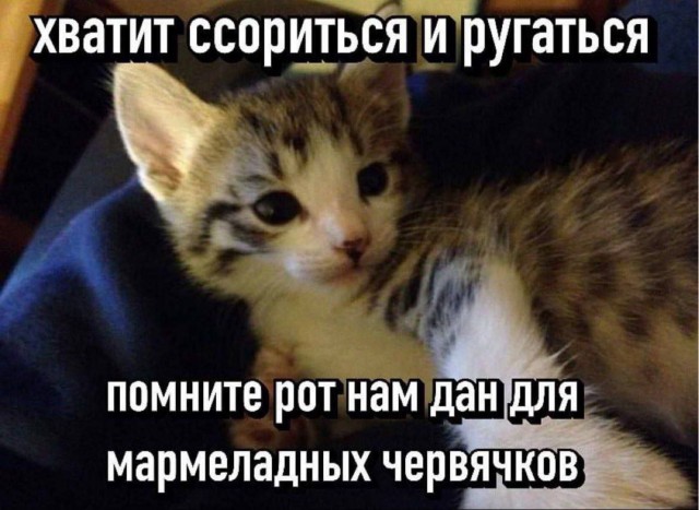 Среды картинки