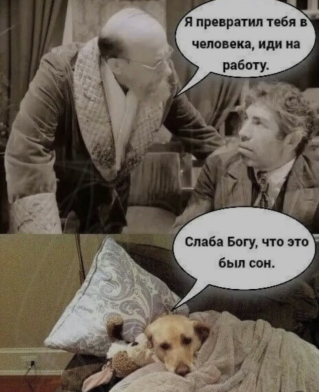 Всякой Хни вам в ленту, дорогие деграданты