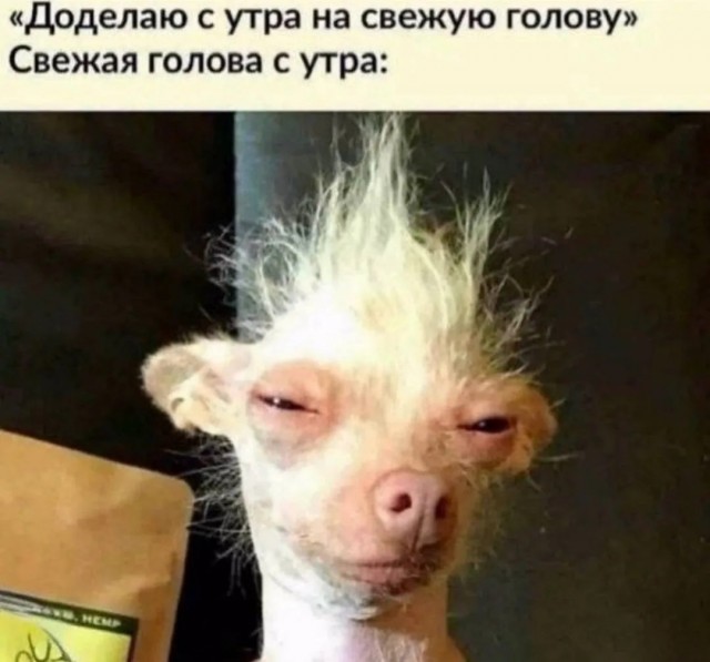 Народная меДИЧина v2.0