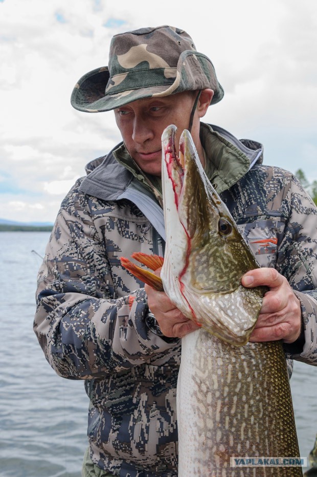 Путин поймал щуку весом 21 кг