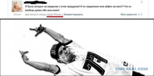 Веселые картинки в пятницу (03.07)