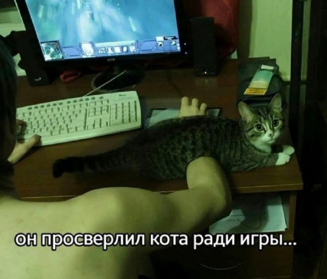 Картинки для деградации 233 (разной степени свежести)