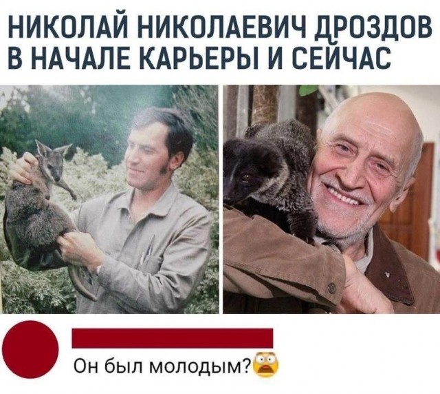 Картиночки, баянчики 19 июля