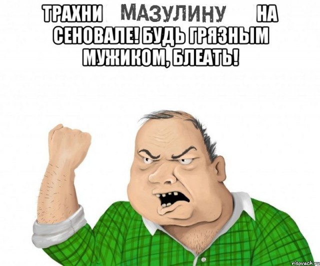 По факту оскорблений в Интернете Мизулиной