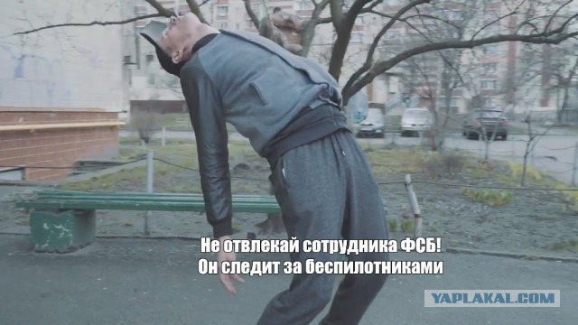 Дружбодомик питерских альтушек