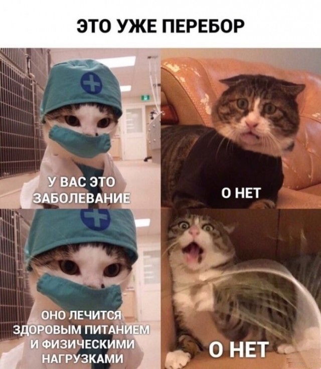 Понедельниковые тРРРидцать тРРРи